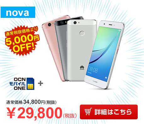 btn_2017summerbonus_nova