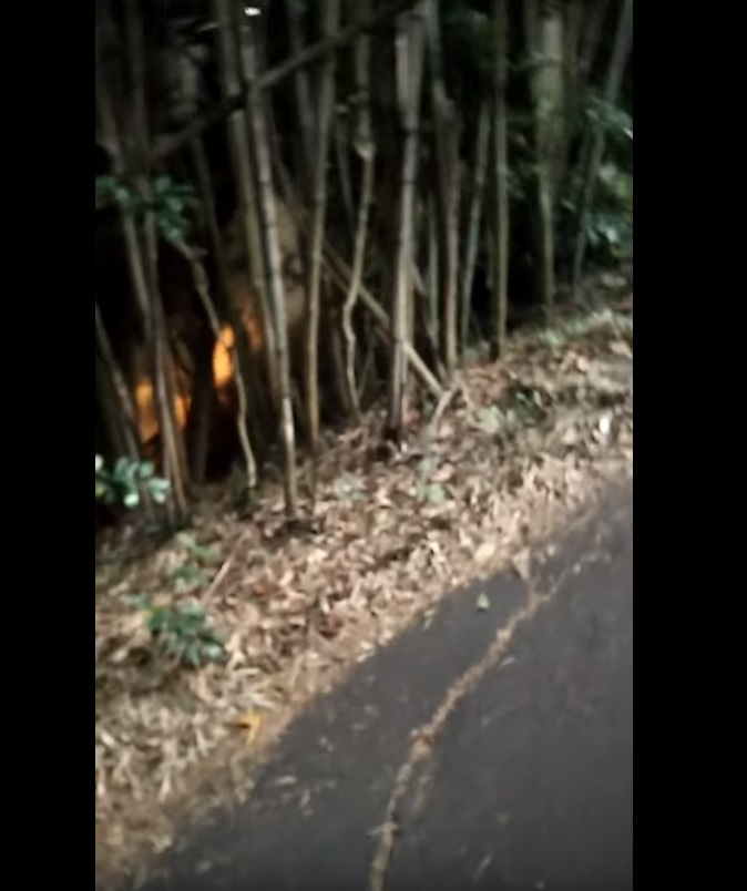 191102_kowai-SS001元画像